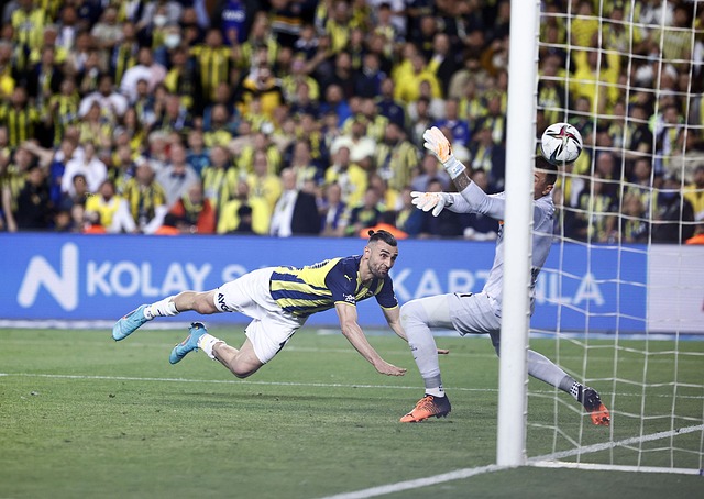 商支持將為 商支持將為