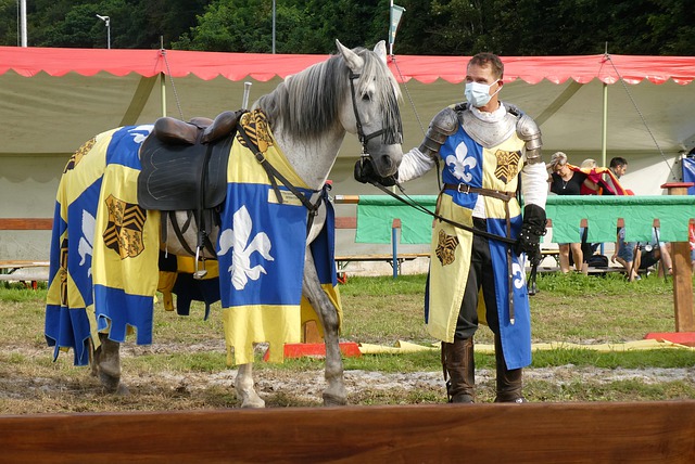 转比甲第 转比甲第