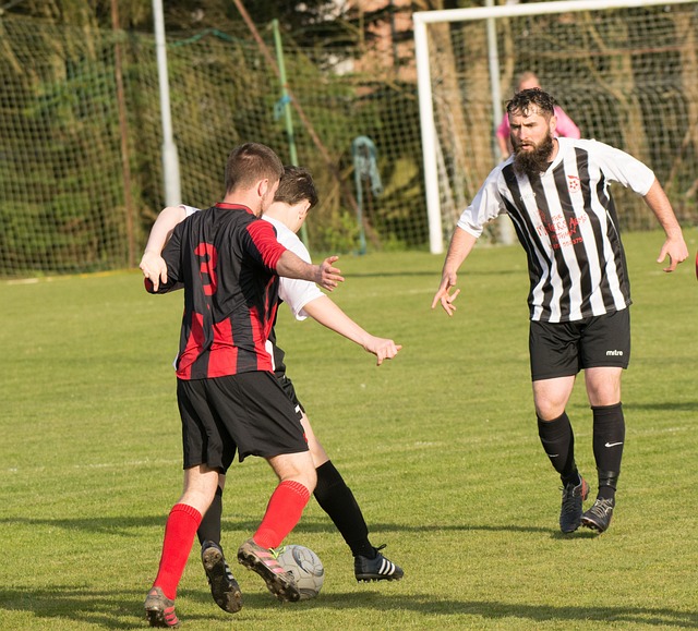 在欧冠赛场 在欧冠赛场