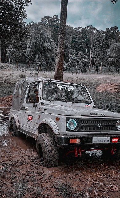 关系为他在 关系为他在