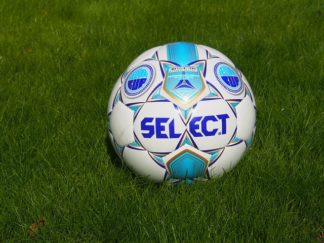 领他重新扬 领他重新扬