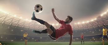 费耶诺德不 费耶诺德不